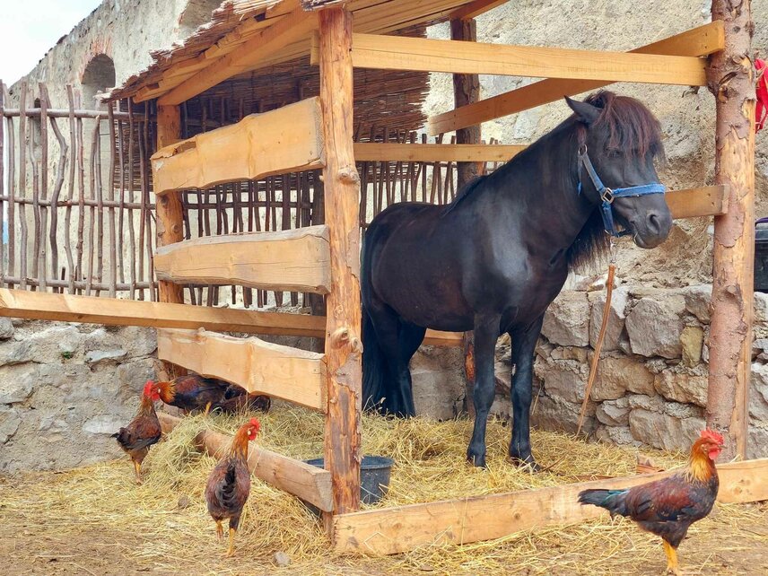 Minifarmička na hrade